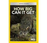 Artist Not Provided - How Big Can It Get [DVD] [Region 1] [US Import] [NTSC]