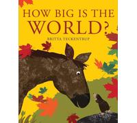 How Big Is the World?