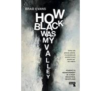 How Black Was My Valley : Poverty and Abandonment in Post-Industrial Wales