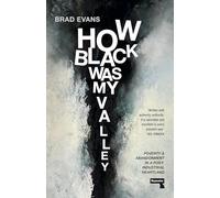 How Black Was My Valley: Poverty and Abandonment in Post-Industrial Wales