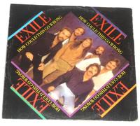 How Could This Go Wrong? (12" single)