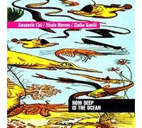 HOW DEEP IS THE OCEAN