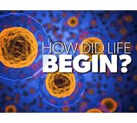 How Did Life Begin?