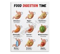 How Digestion Works Timeline Chart Nutrition Educational Poster Canvas Wall Art for Health Clinic Office Home Library Decor(Framed,16x24inch(40x60cm))