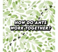 How Do Ants Work Together?
