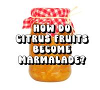 How Do Citrus Fruits Become Marmalade?
