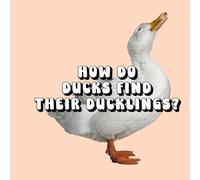 How Do Ducks Find Their Ducklings?