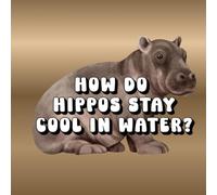 How Do Hippos Stay Cool in Water?