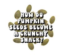 How Do Pumpkin Seeds Become a Crunchy Snack?
