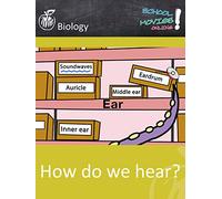 How do we hear? - School Movie on Biology