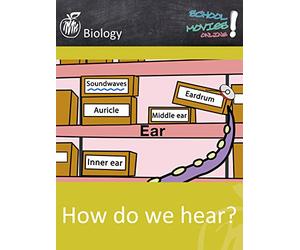 How do we hear? - School Movie on Biology