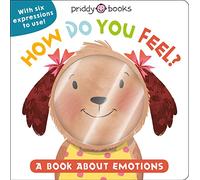 How Do You Feel?: A Book About Emotions (My Little World)