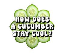 How Does a Cucumber Stay Cool?