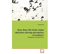 How does the brain make decisions during perception of motion?: Modeling and experiments