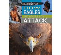 How Eagles and other Birds Attack