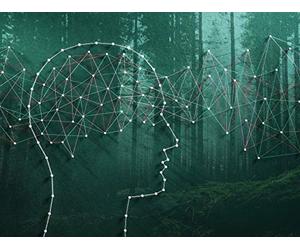 How Emotions Affect Your Decision Making