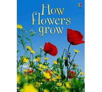 How Flowers Grow (Usborne Beginners, Level 1)
