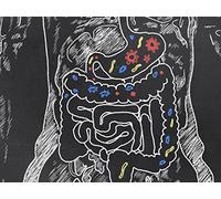 How Food Is Digested and Absorbed