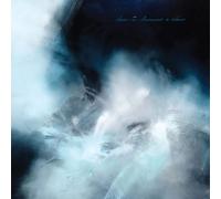 How I Became A Wave - How I Became A Wave [VINYL]