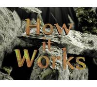 How It Works
