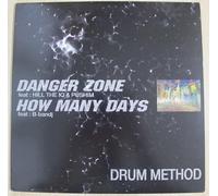 HOW MANY DAYS [12 inch Analog]