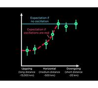 How Neutrino Identity Oscillates