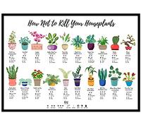 How Not To Kill Your Houseplants Poster - Print for Home Gift For Nature Plant Lover Wildlife Poster (A3 Unframed)