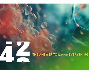 How Strongly Does Our Mother Tongue Shape Us?