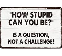 How Stupid Can You Be is a Question Not a Challenge Vintage Tin Signs Wall Art Decor Plaque for Cafe Farm Fishing Garage Garden Yard 8 x 12 Inch