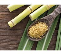 How Sugar and Salt Shaped World History