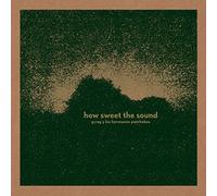 G.rag Y Los Hermanos Patchekos - How Sweet The Sound [VINYL]