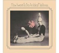 How Sweet to Be an Idiot CD Expanded Album Digipak (2020) NEW Great Value