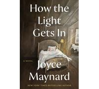 How the Light Gets In : A Novel