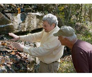 How the Natural Realm Reflects God : Pocket Wilderness