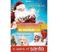 How the Toys Saved Christmas / In Search of Santa [DVD] [Region 1] [US Import] [NTSC]