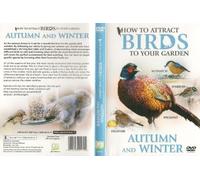 How to Attract Birds to Your Garden: Autumn and Winter