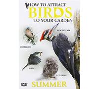 How to Attract Birds to Your Garden: Summer