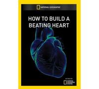 Artist Not Provided - How to Build a Beating Heart [DVD] [Region 1] [US Import] [NTSC]