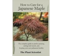 How to Care for a Japanese Maple: The Complete Guide to Perfect Pruning, Solving Leaf Scorch, and Keeping Your Acer Palmatum Healthy.