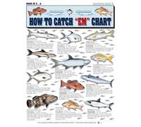How to Catch 'Em Saltwater Fish Identification #1 - Waterproof Quick Reference Guide | Portable & Built to Last | Double-Sided & Easy to Read | (South Atlantic, Gulf of Mexico, Bahamas, and Caribbean)
