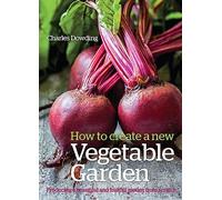 How to Create a New Vegetable Garden: Producing a beautiful and fruitful garden from scratch
