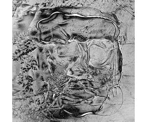 How To Dress Well Anteroom Double LP Vinyl WIGLP432 NEW