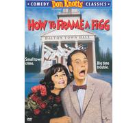 HOW TO FRAME A FIGG NEW REGION 1 DVD