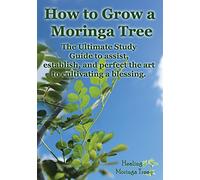 How to grow a Moringa Tree: The Ultimate Study Guide to assist, establish, and perfect the art to cultivating a blessing.