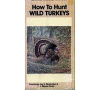 How to Hunt Wild Turkeys