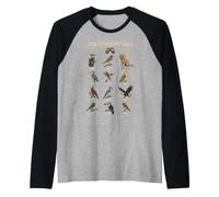 How to Identify Birds Vintage Humorous Birdwatching Raglan Baseball Tee