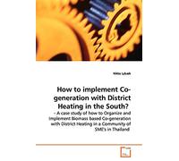 How to implement Co-generation with District Heating in the South?