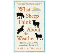 How to Listen to Animals: A quest to hear what they’re trying to say