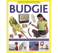 How to Look After Your Budgie