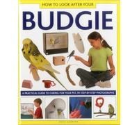 How to Look After Your Budgie